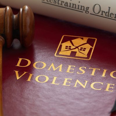 Domestic violence book
