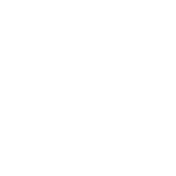 American Bar Foundation badge